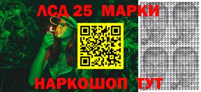 индика Лесосибирск