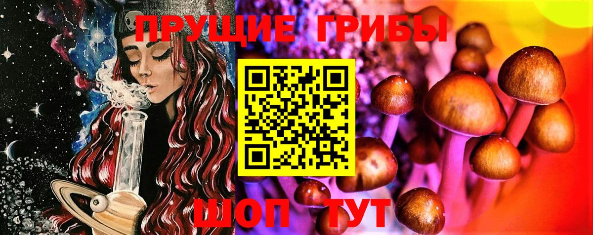 Псилоцибиновые грибы Psilocybine cubensis  купить   Галлюциногенные грибы ЛСД  Ейск  Вход с VPN 