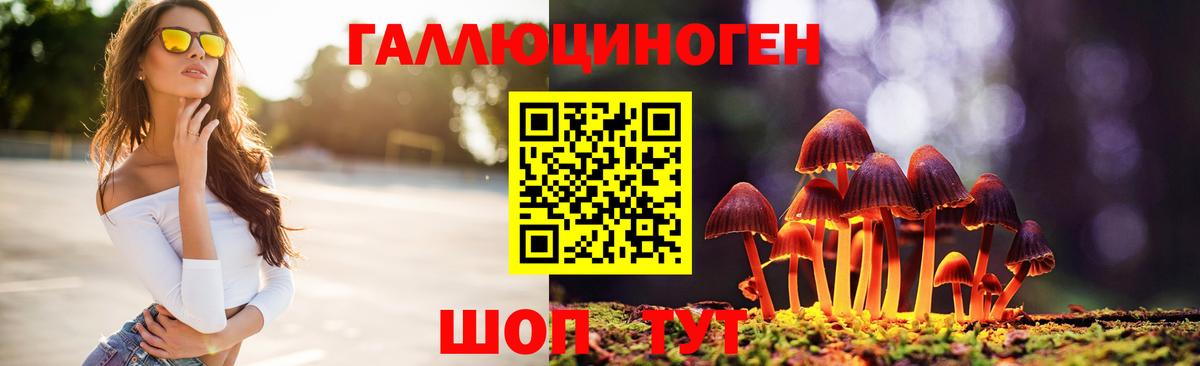 Галлюциногенные грибы Psilocybine cubensis Ейск